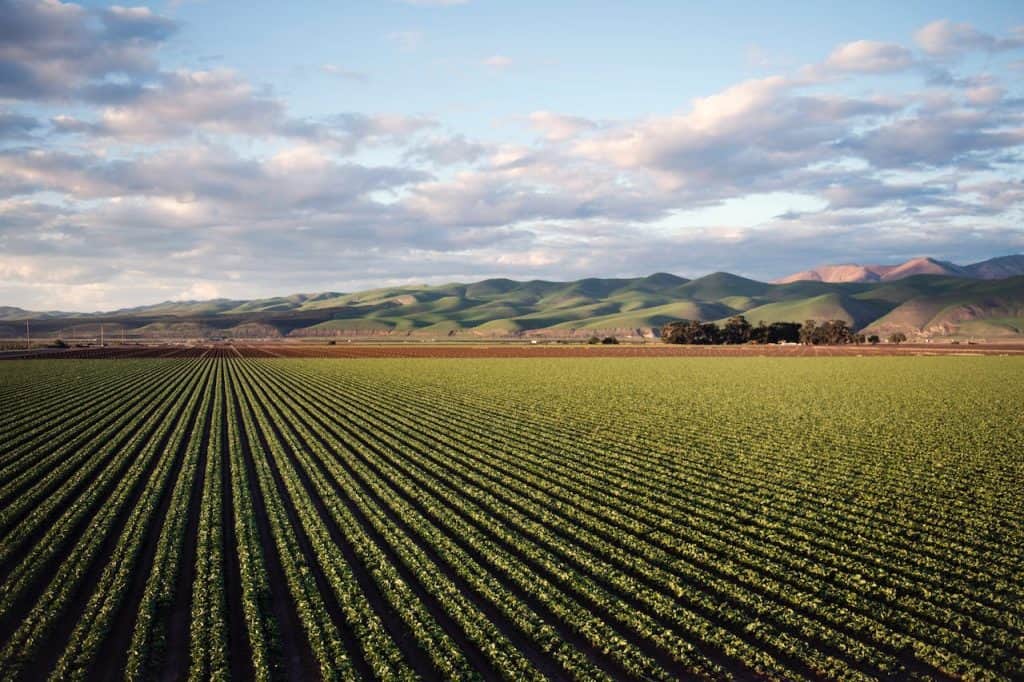 agricultura