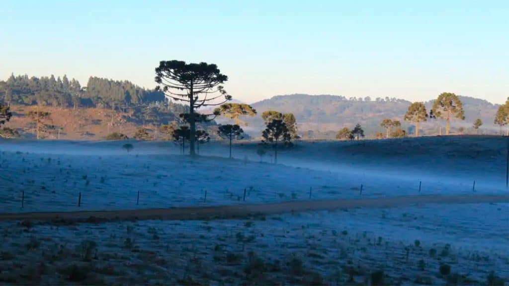 Paisagem em dia frio em Urupema, no estado de Santa Catarina, no Sul do Brasil