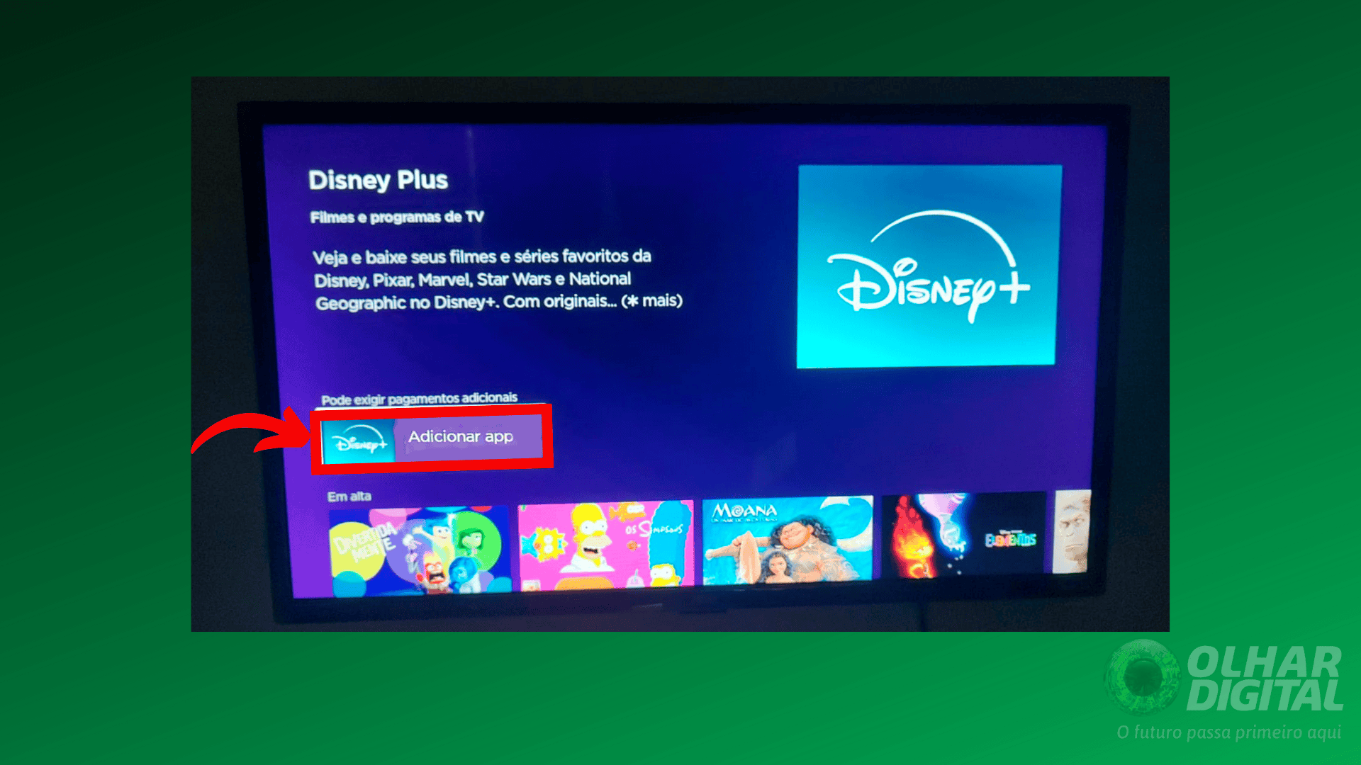 4º passo de como instalar Disney+