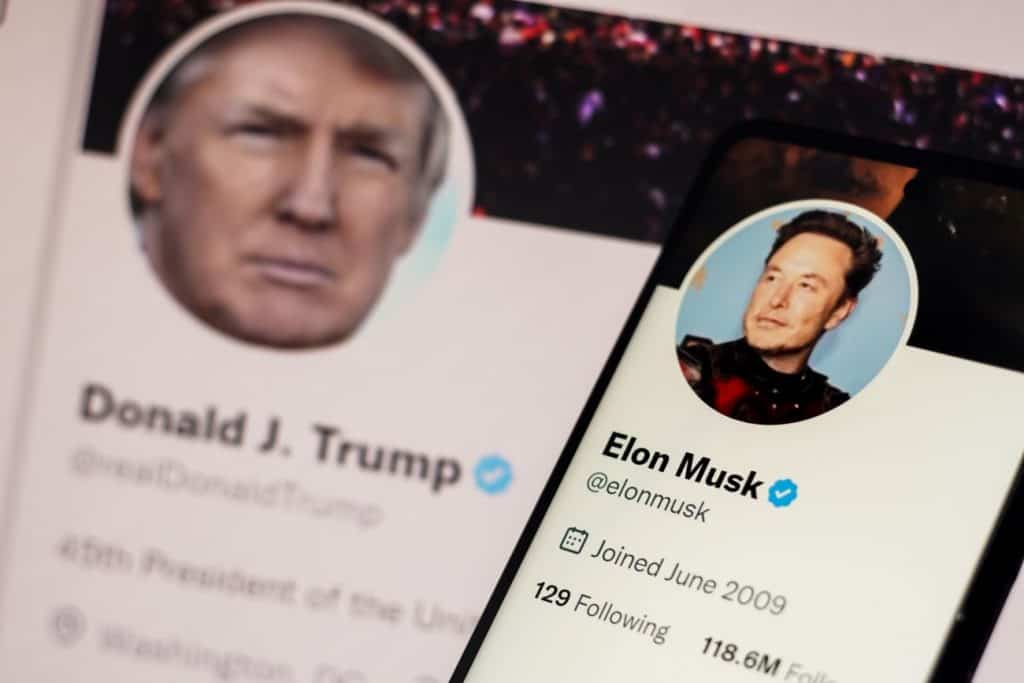 trump musk