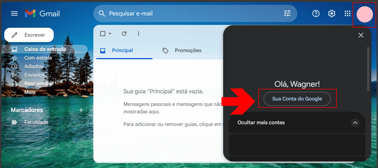 Perfil do Gmail e controles para gerenciar a conta Google