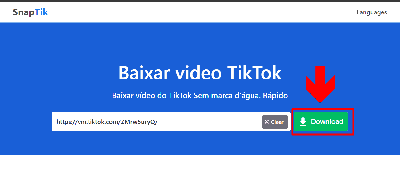 imagem ilustra site snaptik para baixar o video do tiktok sem marca d'água